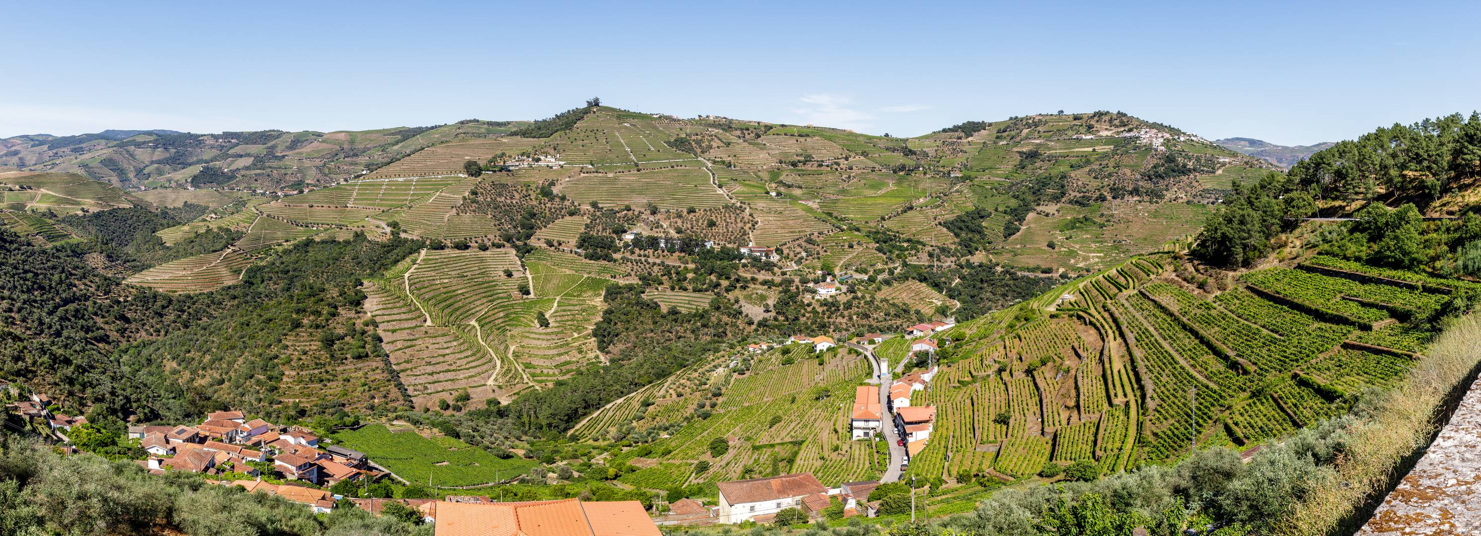 2026 06   Panorama   Pinhão II